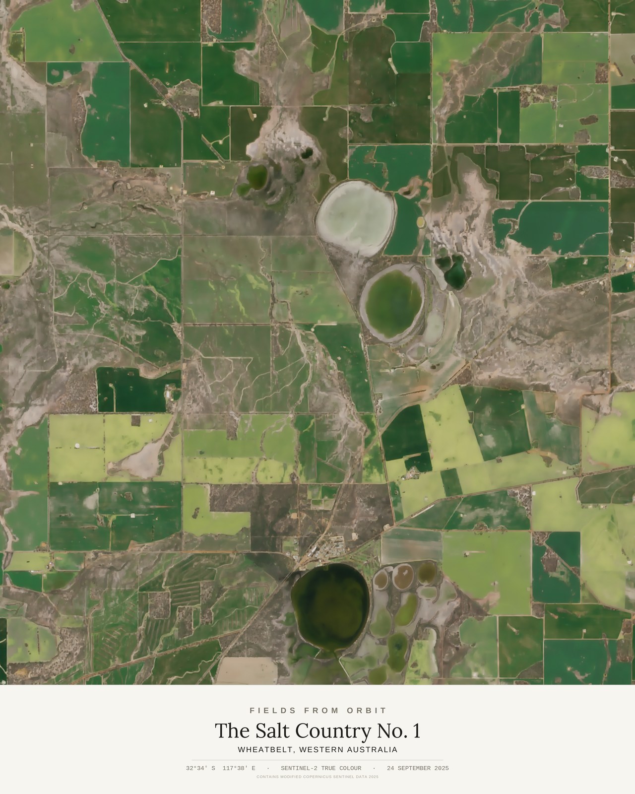 The Salt Country No. 1 — satellite art poster of Wheatbelt, Western Australia, shown with its museum label
