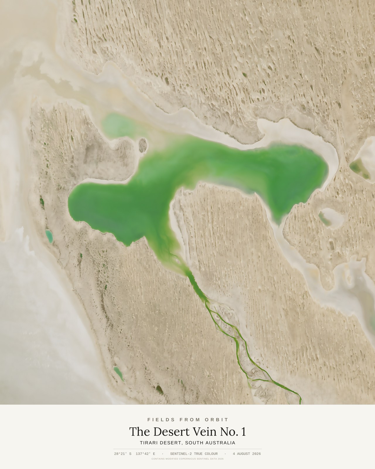 The Desert Vein No. 1 — satellite art poster of Tirari Desert, South Australia, shown with its museum label