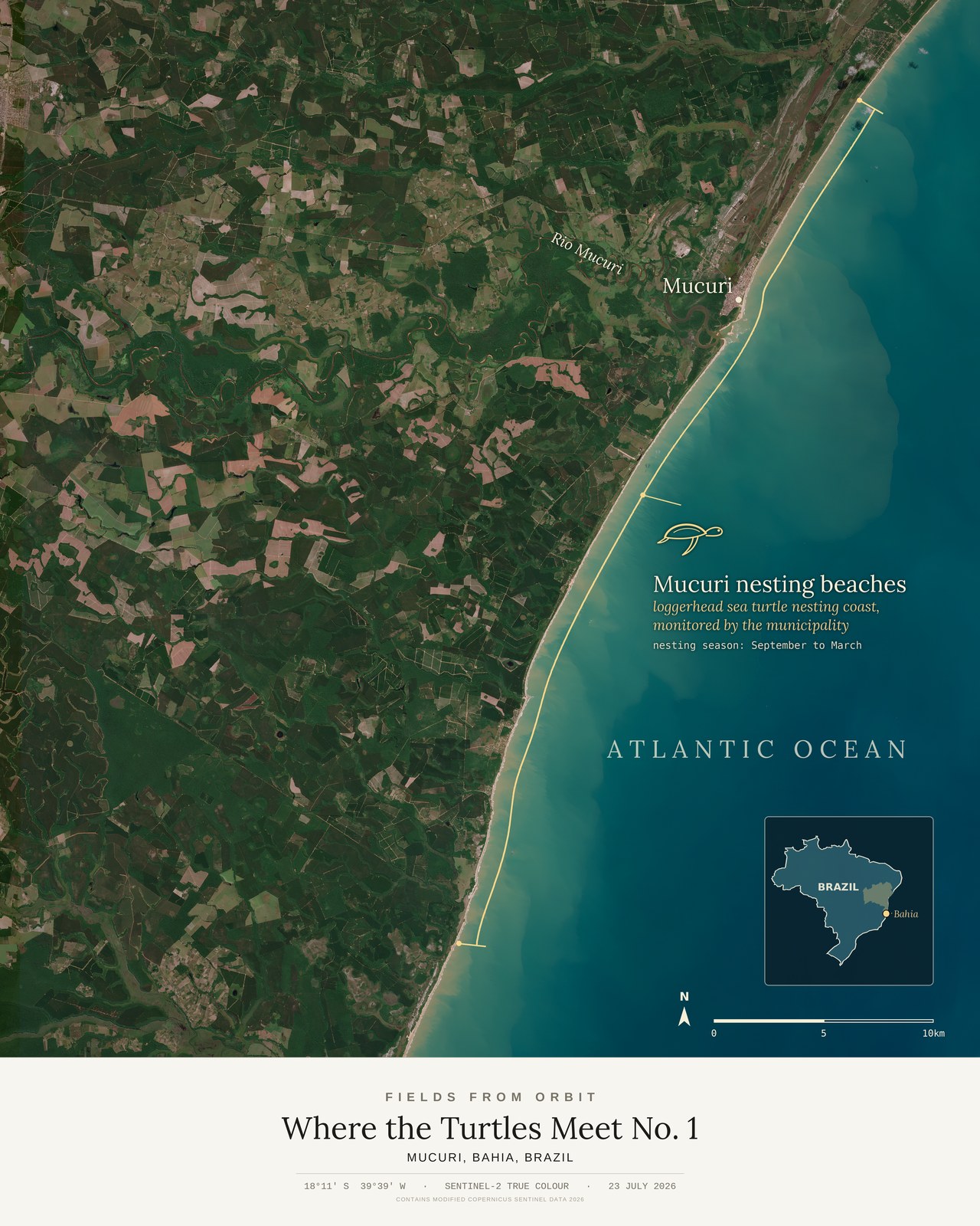 Where the Turtles Meet No. 1 — satellite art poster of Mucuri, Bahia, Brazil, shown with its museum label