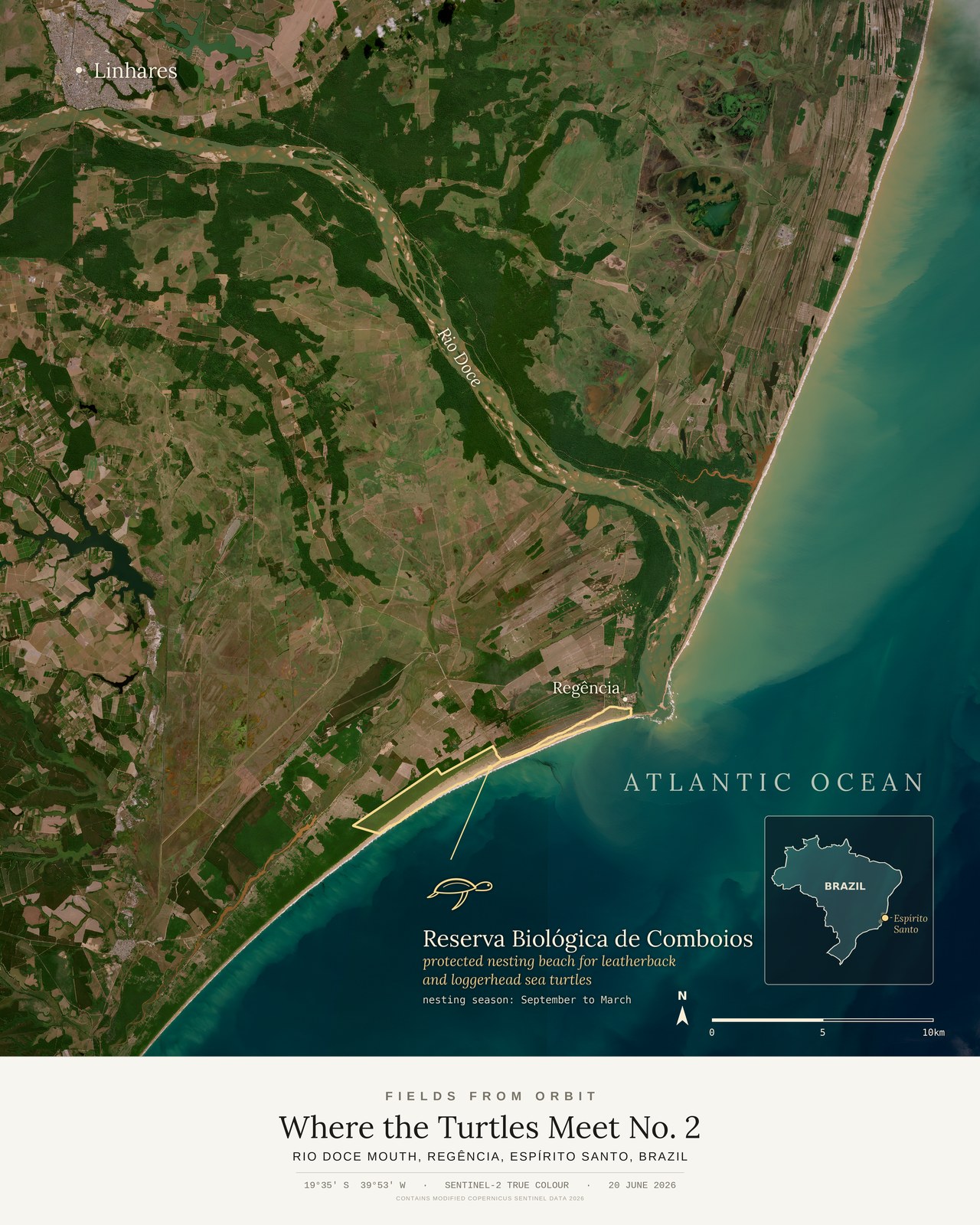Where the Turtles Meet No. 2 — satellite art poster of Rio Doce mouth, Regência, Espírito Santo, Brazil, shown with its museum label