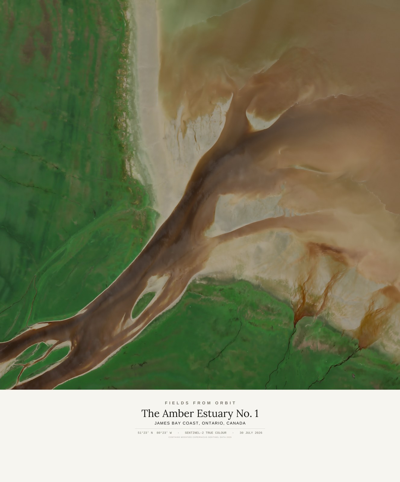 The Amber Estuary No. 1 — satellite art print of James Bay coast · Ontario, Canada, shown with its museum label