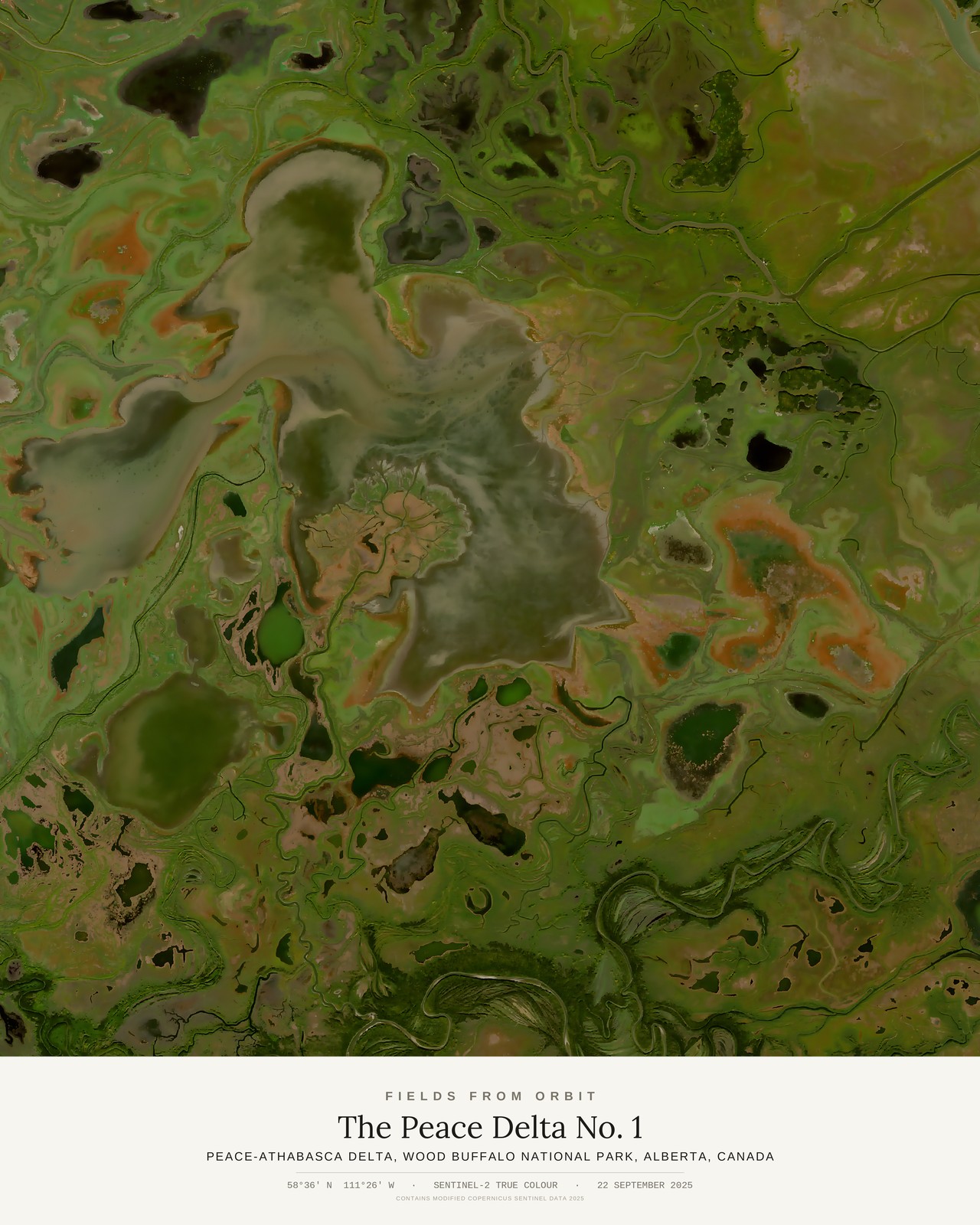 The Peace Delta No. 1 — satellite art poster of Peace-Athabasca Delta, Wood Buffalo National Park, Alberta, Canada, shown with its museum label