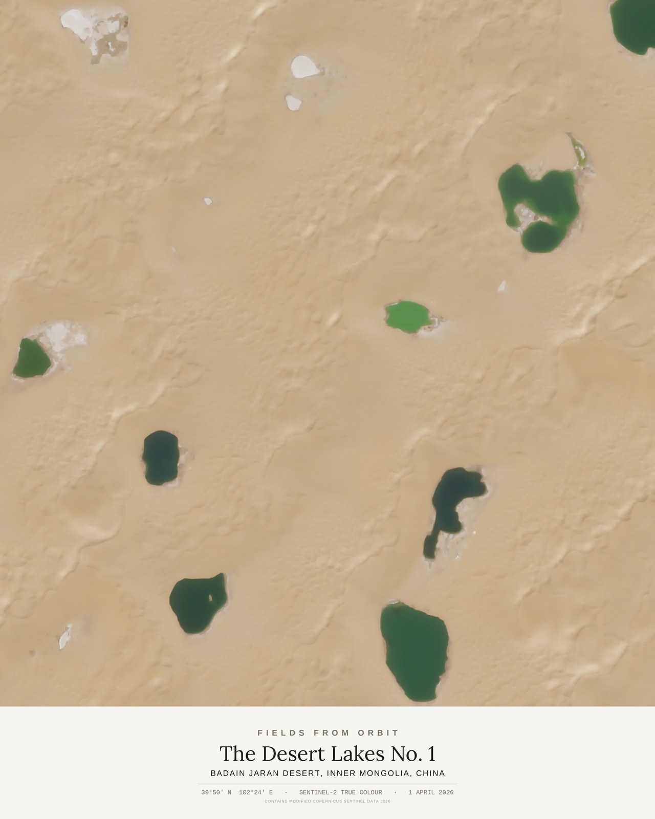 The Desert Lakes No. 1 — satellite art poster of Badain Jaran Desert, Inner Mongolia, China, shown with its museum label