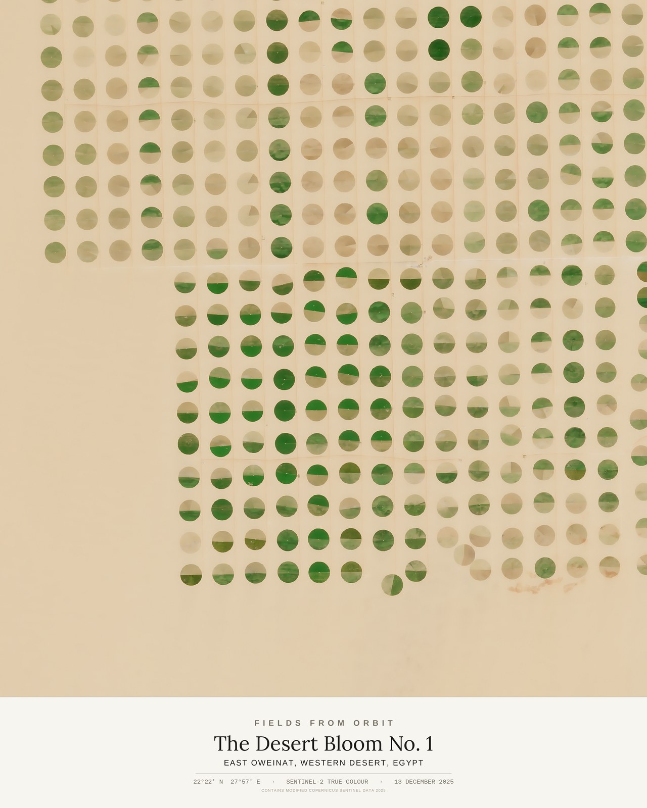 The Desert Bloom No. 1 — satellite art poster of East Oweinat, Western Desert, Egypt, shown with its museum label