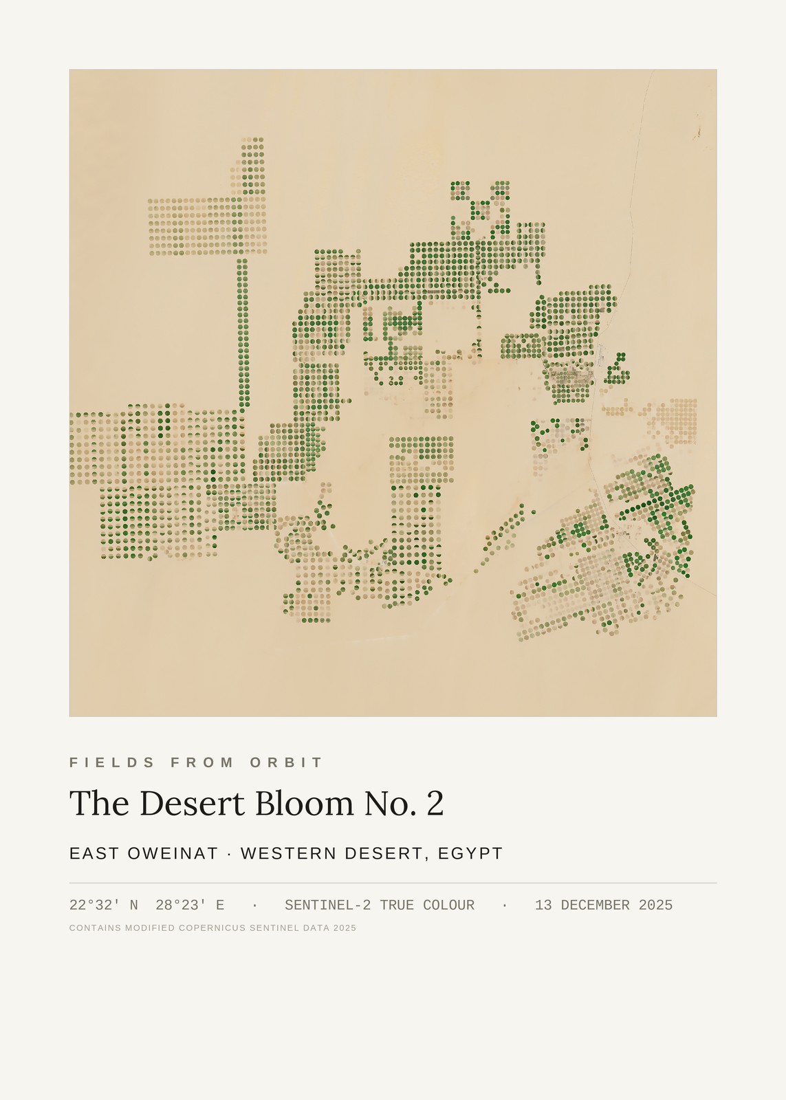 The Desert Bloom No. 2 — satellite art poster of East Oweinat, Western Desert, Egypt, shown with its museum label