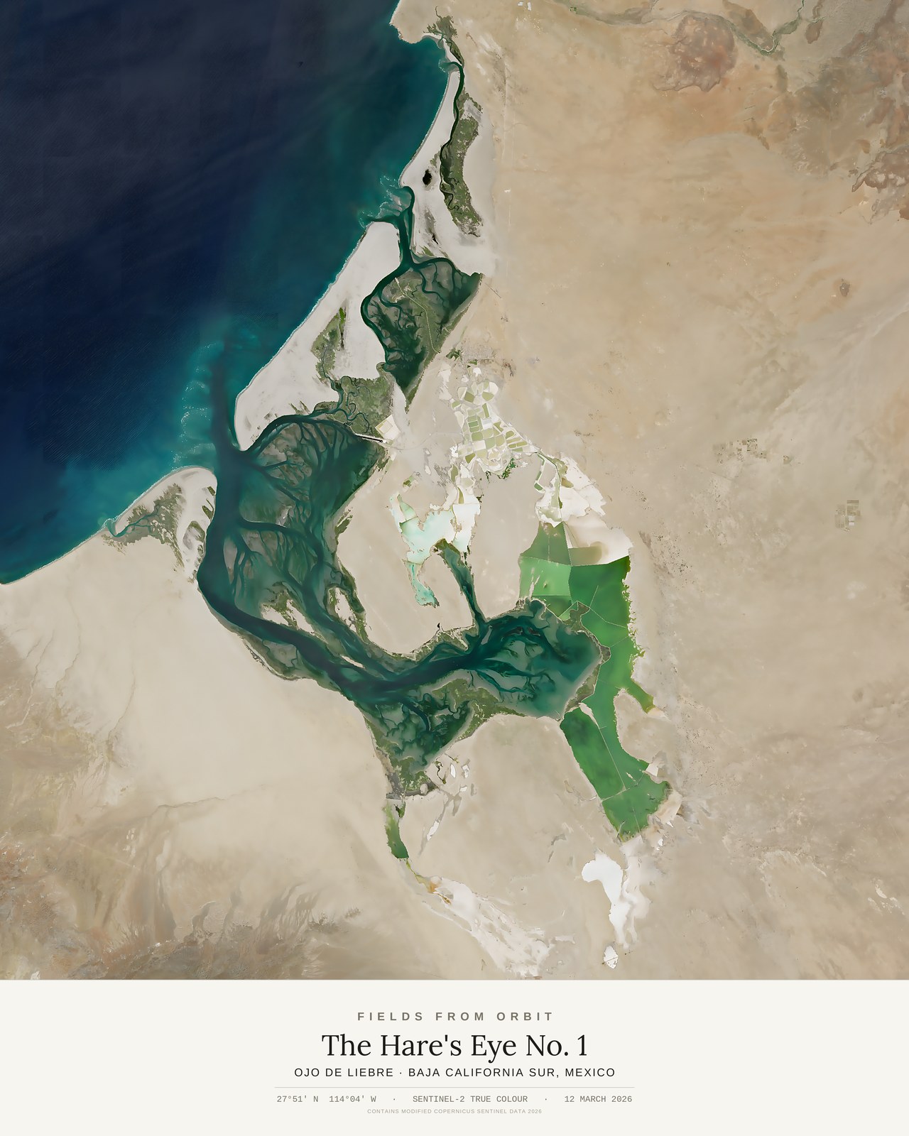 The Hare's Eye No. 1 — satellite art poster of Ojo de Liebre, Baja California Sur, Mexico, shown with its museum label
