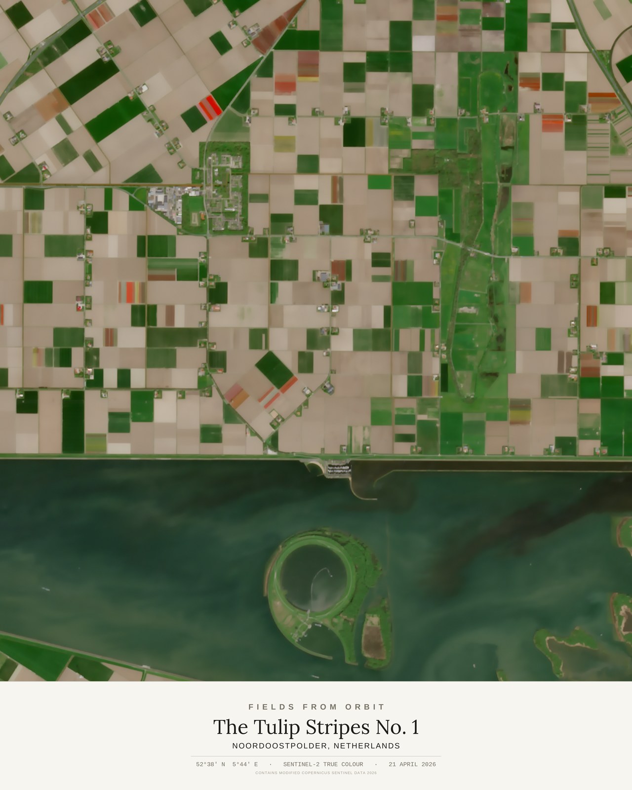 The Tulip Stripes No. 1 — satellite art poster of Noordoostpolder, Netherlands, shown with its museum label