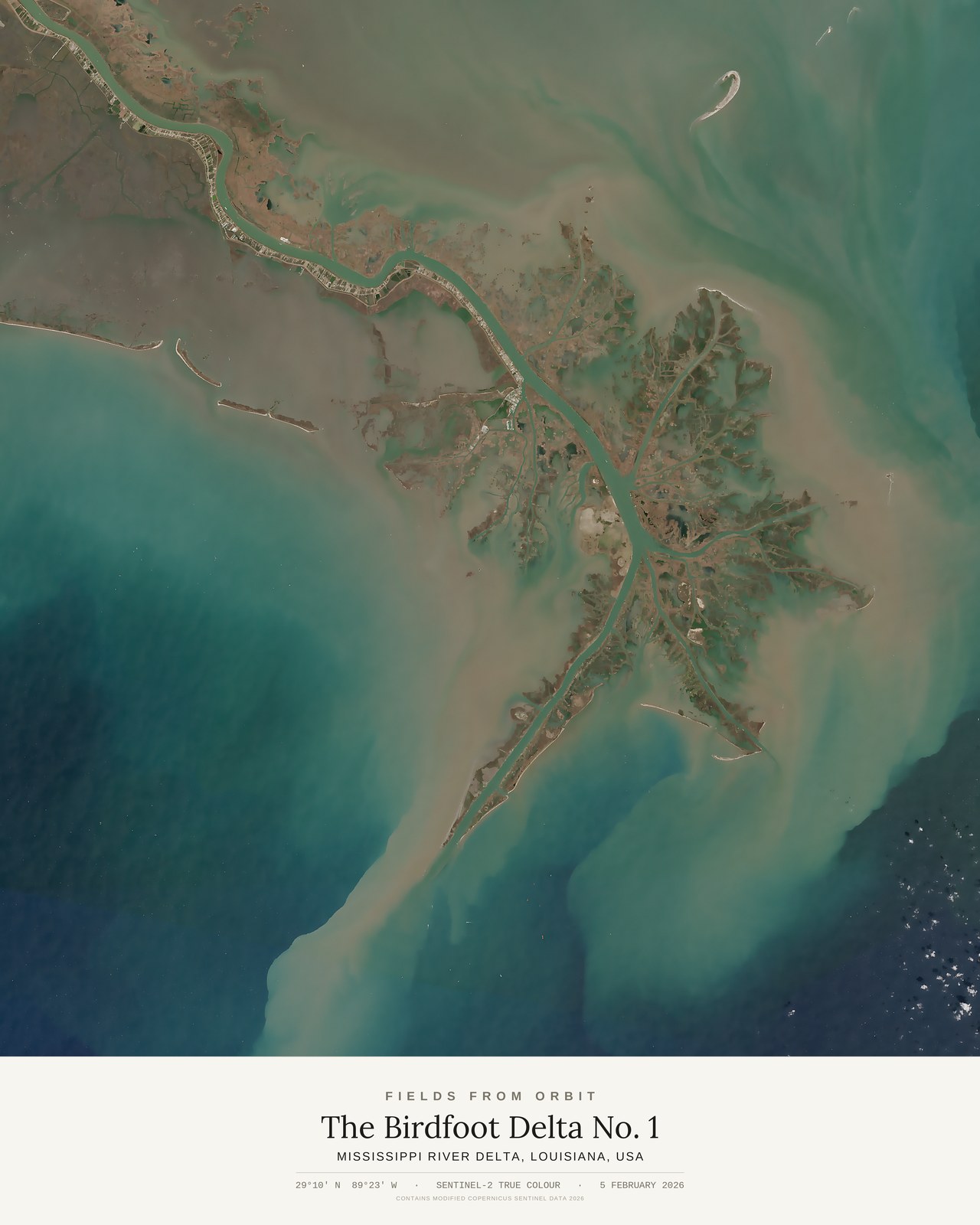 The Birdfoot Delta No. 1 — satellite art poster of Mississippi River Delta, Louisiana, USA, shown with its museum label
