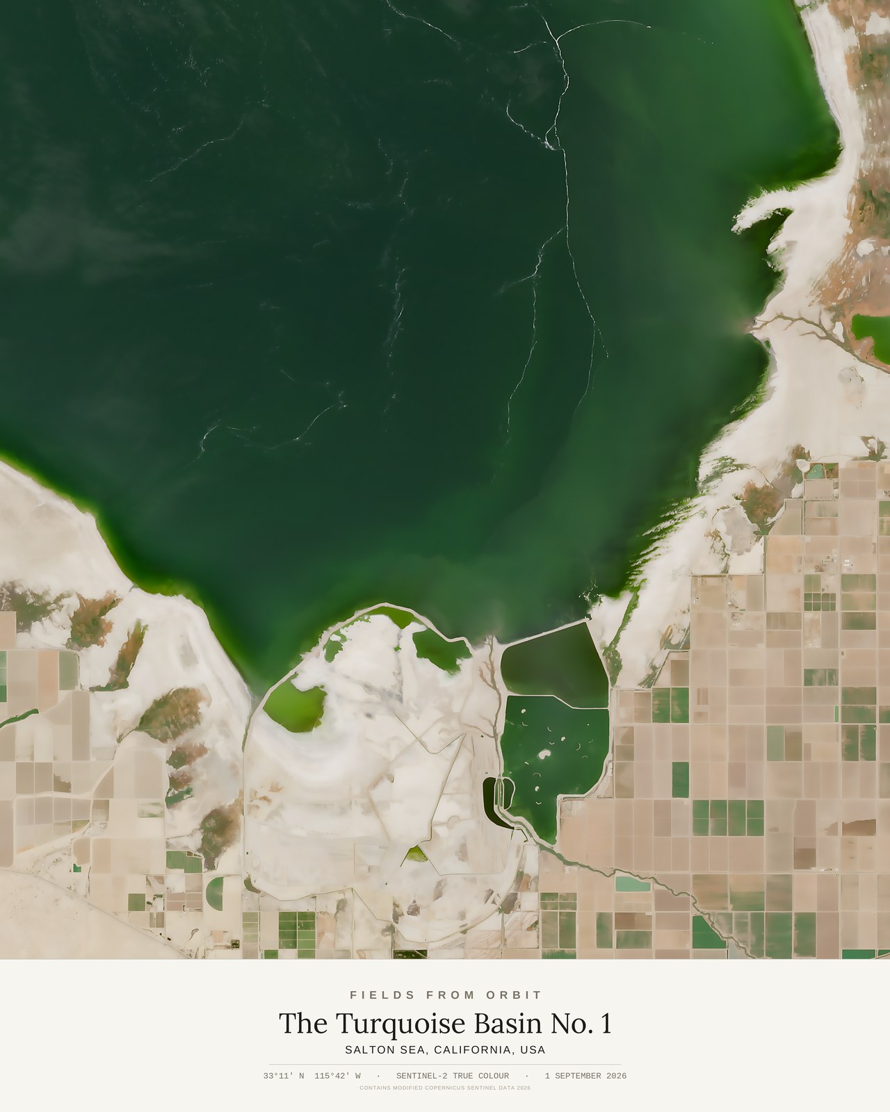 The Turquoise Basin No. 1 — satellite art poster of Salton Sea, California, USA, shown with its museum label