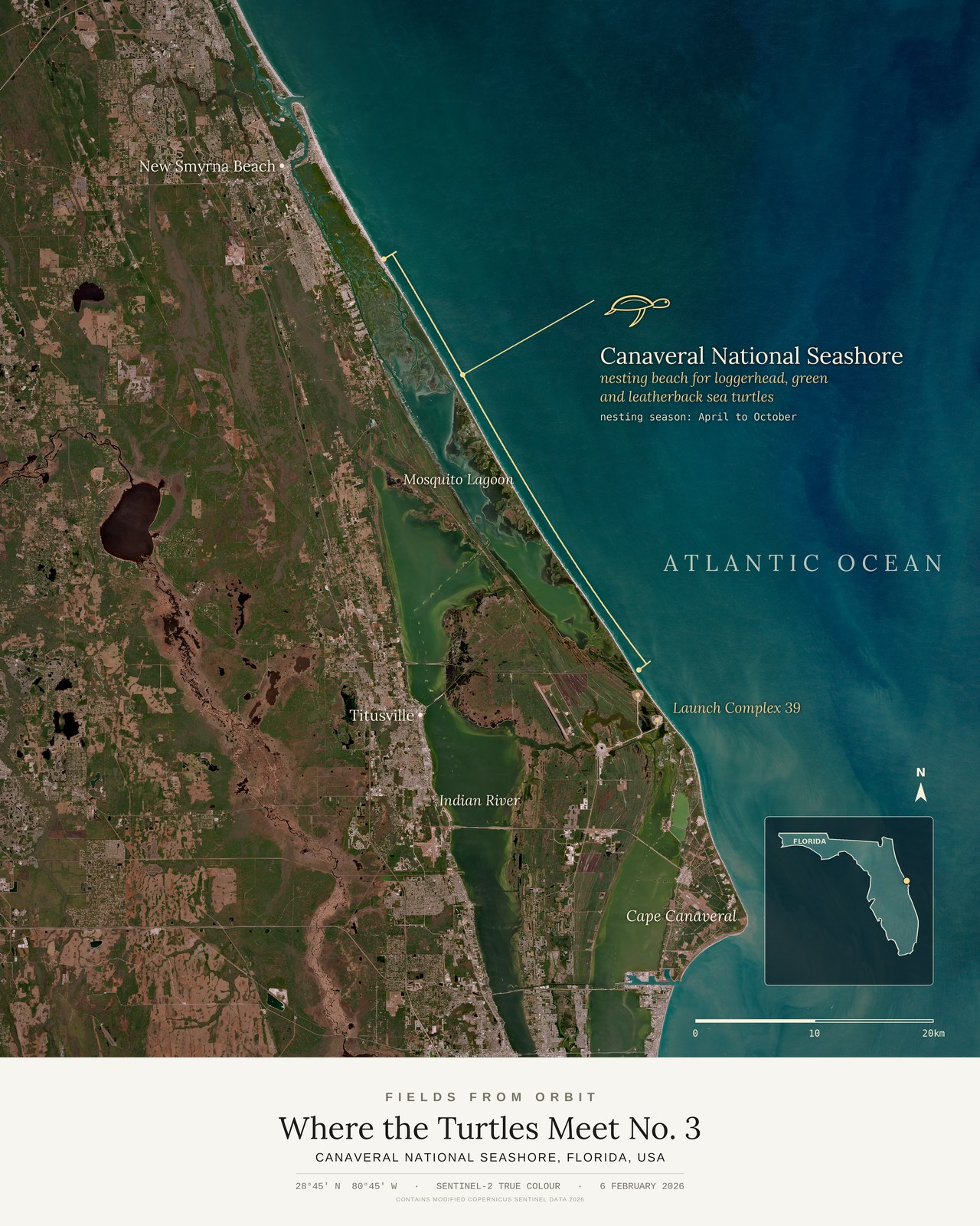 Where the Turtles Meet No. 3 — satellite art poster of Canaveral National Seashore, Florida, USA, shown with its museum label