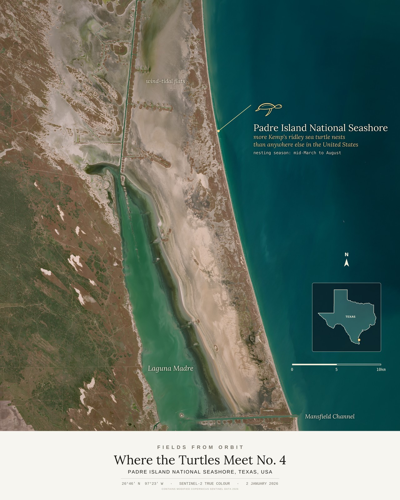 Where the Turtles Meet No. 4 — satellite art poster of Padre Island National Seashore, Texas, USA, shown with its museum label